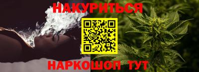 индика Будённовск