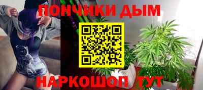 индика Будённовск