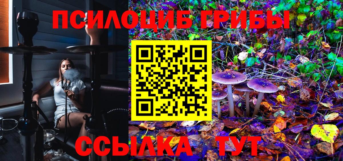 Псилоцибиновые грибы GOLDEN TEACHER Удомля