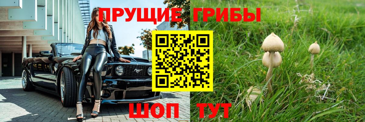 где можно купить   Вход с VPN  Удомля  Галлюциногенные грибы Psilocybine cubensis 